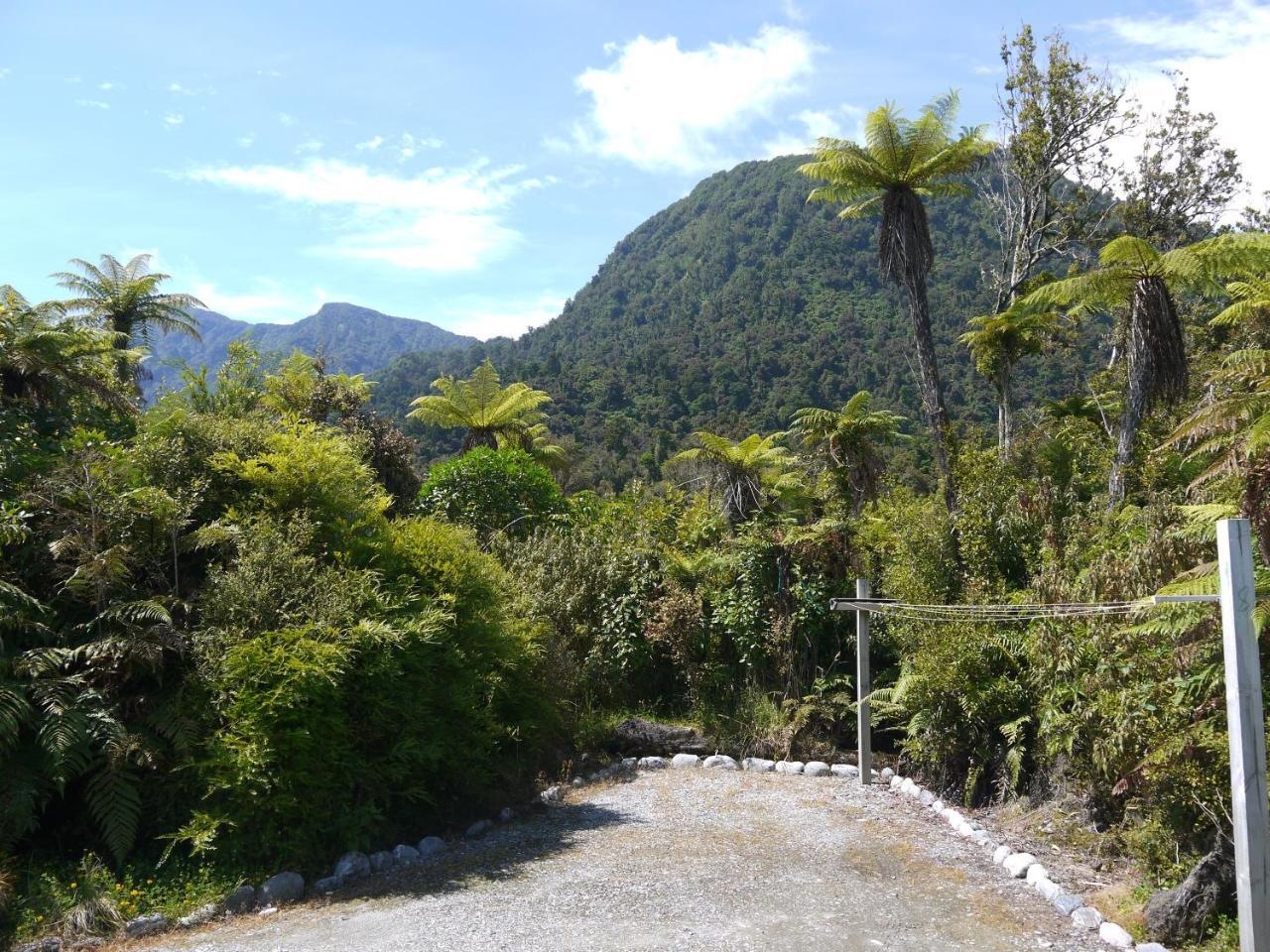 Franz Josef Treetops 외부 사진