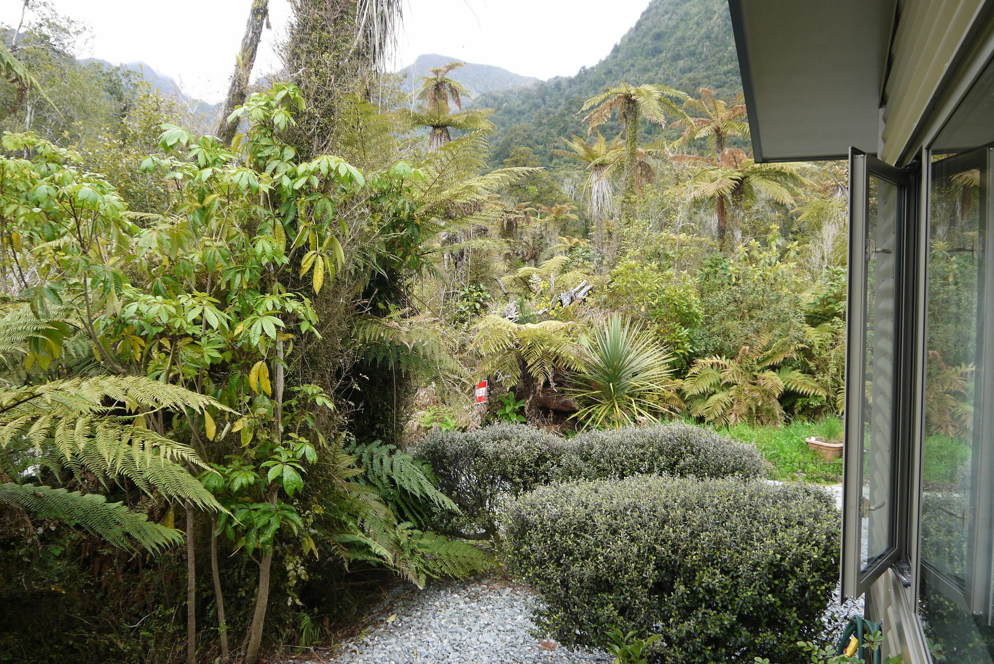 Franz Josef Treetops 외부 사진